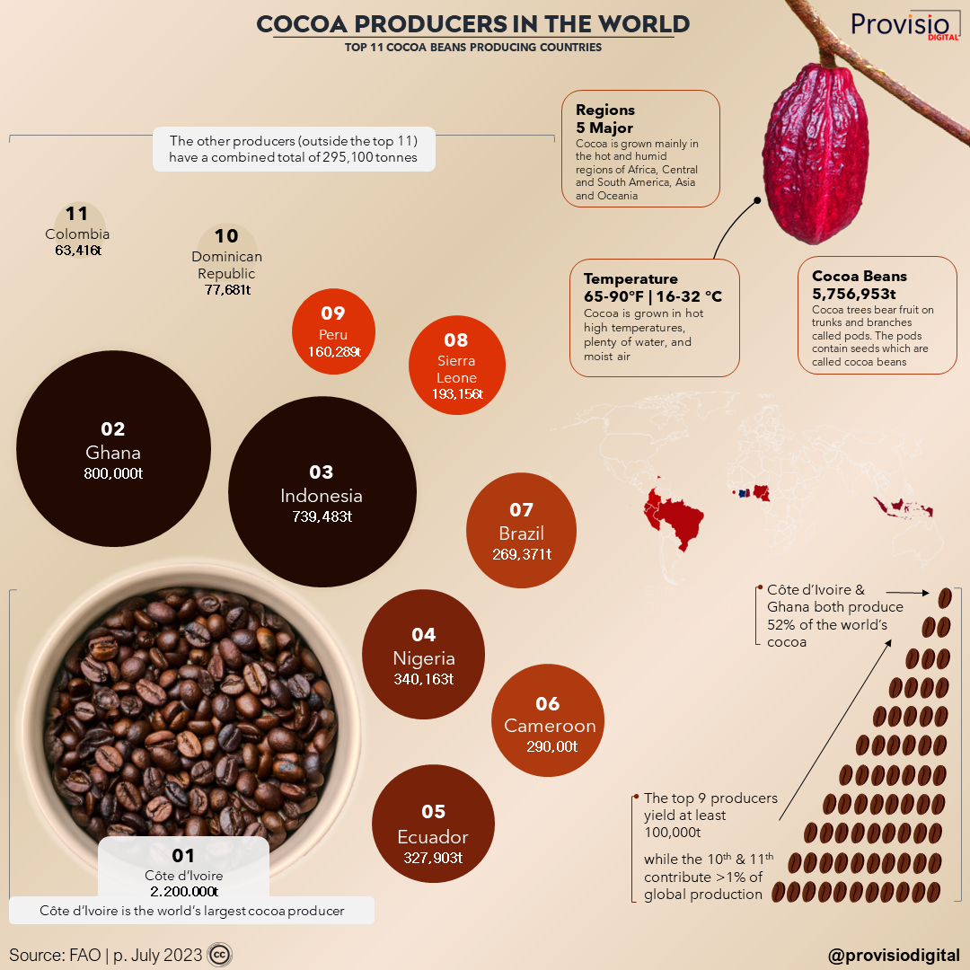 The Top Eleven Cocoa Producers in The World - Provisio Professional ...